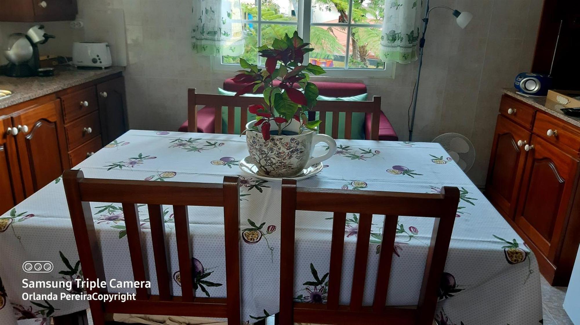 Terra Cha Cottage,Feel Home, Sao Vicente  Bagian luar foto