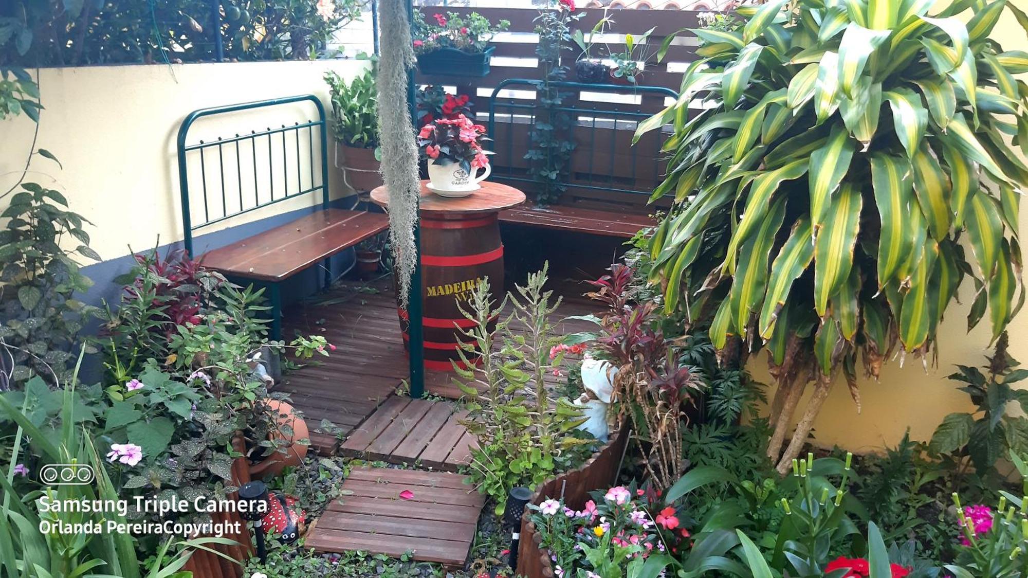 Terra Cha Cottage,Feel Home, Sao Vicente  Bagian luar foto