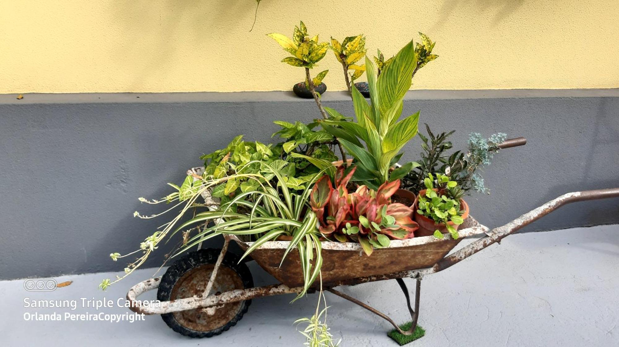 Terra Cha Cottage,Feel Home, Sao Vicente  Bagian luar foto